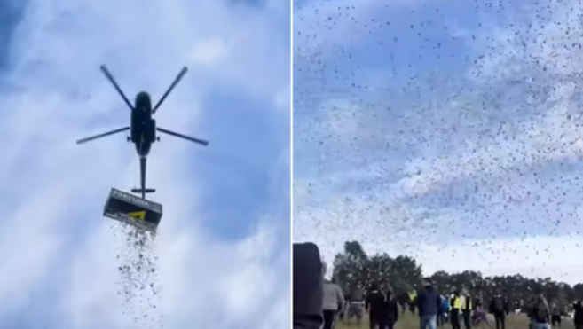 The image is taken from the video shared by a Czech influencer. (Instagram/@kazma_kazmitch) Million Dollar Helicopter Drop
